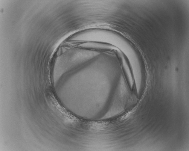 X0000051240830200507152121