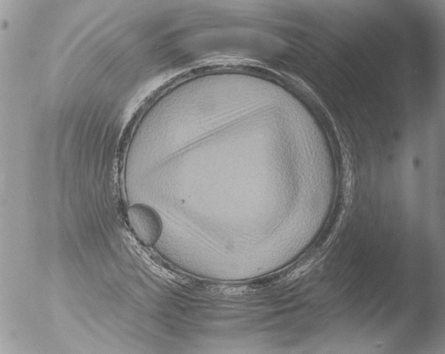 X0000051240831200507152121