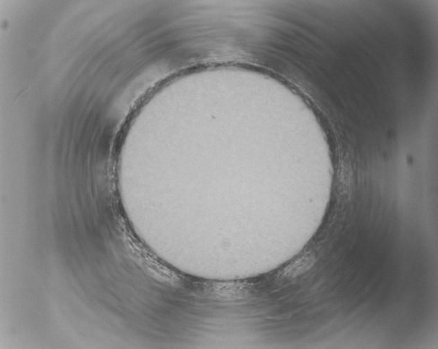 X0000051240832200507152121