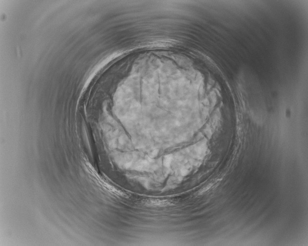 X0000051240835200507152121