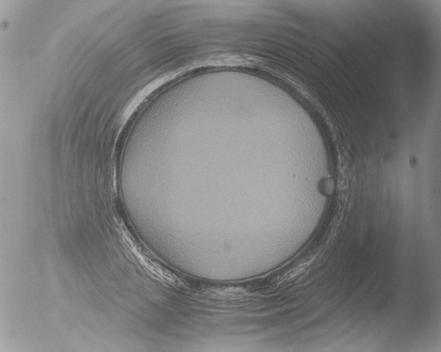 X0000051240837200507152121