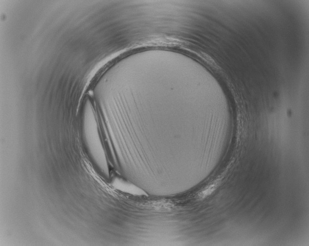 X0000051240838200507152121