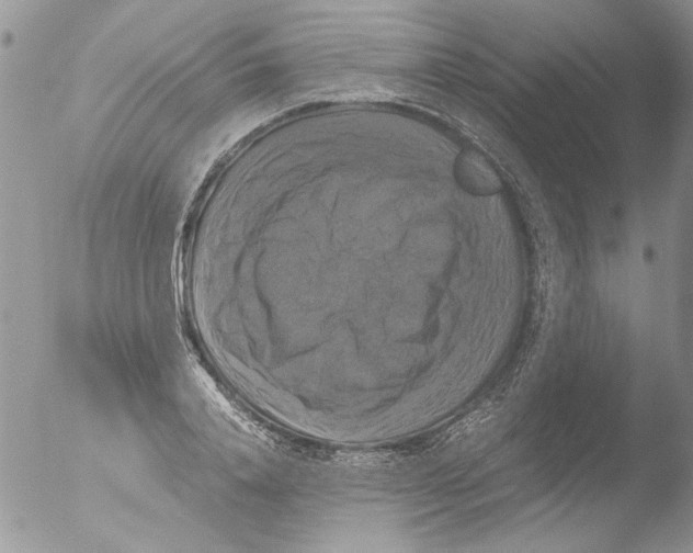 X0000051240840200507152121