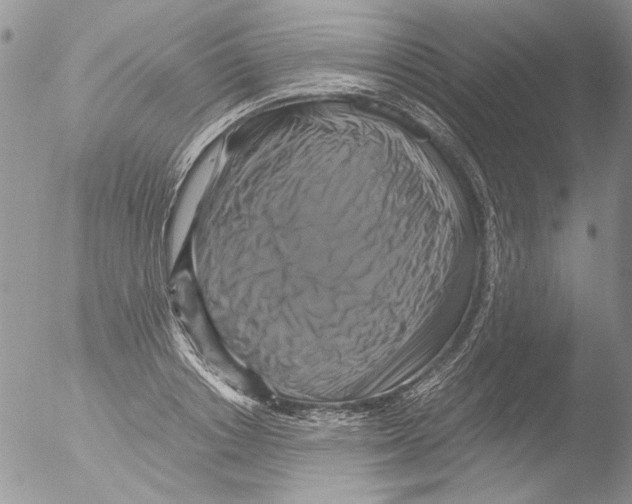 X0000051240842200507152121