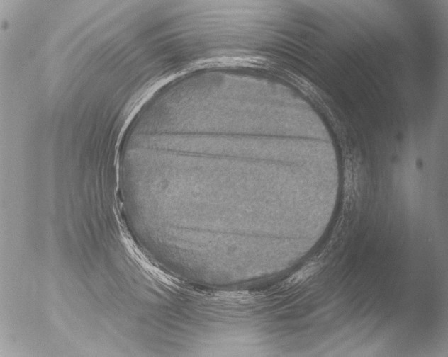 X0000051240844200507152121