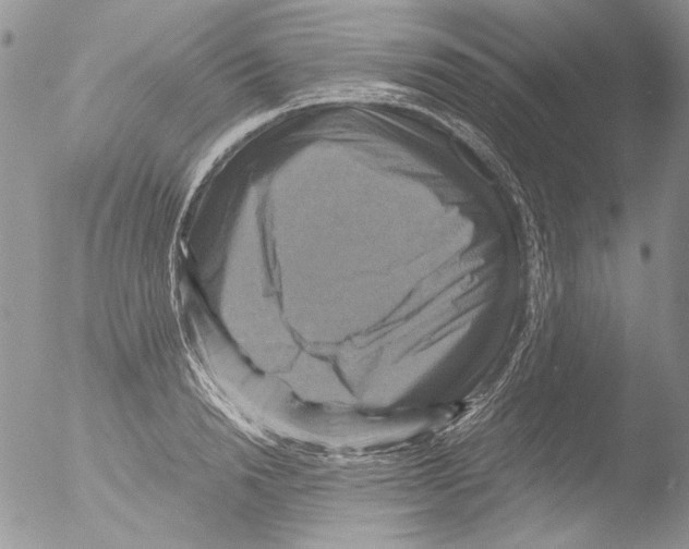 X0000051240846200507152121