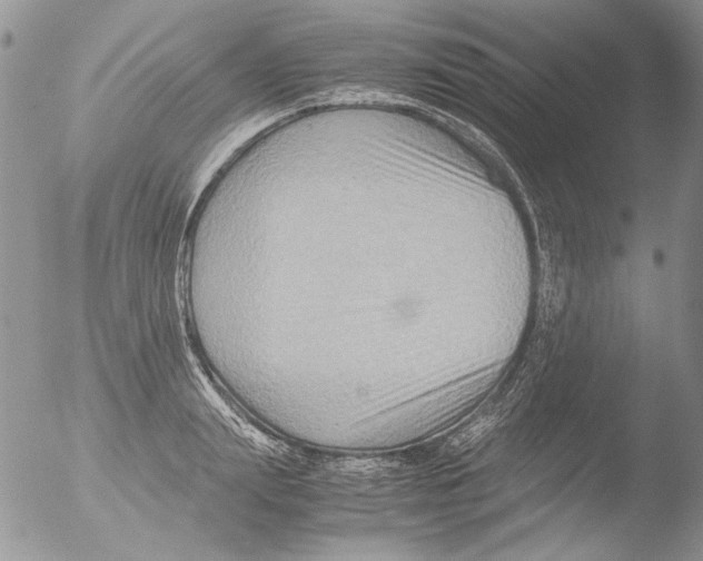 X0000051240847200507152121