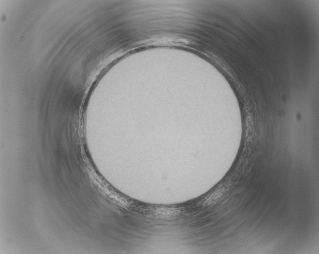 X0000051240848200507152121