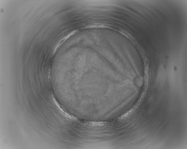 X0000051240849200507152121