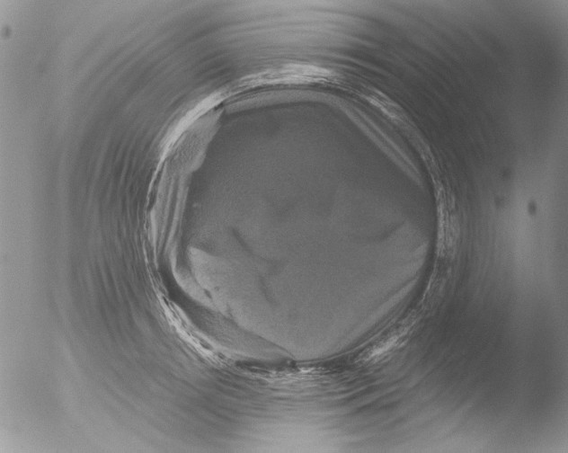 X0000051240850200507152121