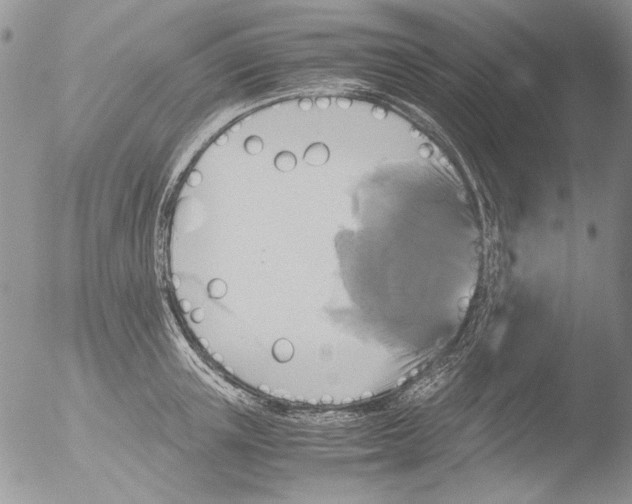 X0000051240851200507152121