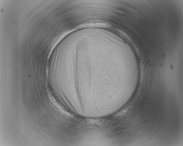 X0000051240852200507152121