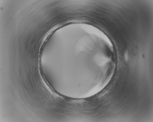 X0000051240853200507152121