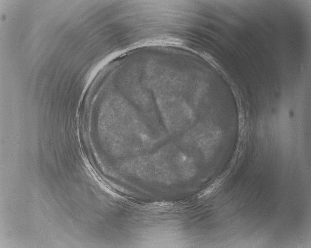 X0000051240854200507152121