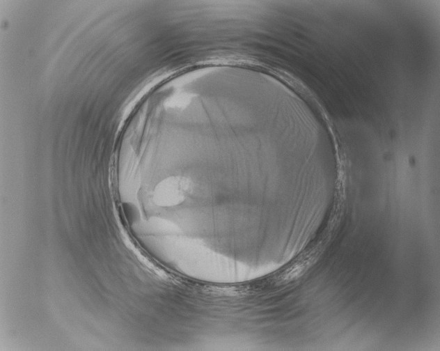 X0000051240855200507152121