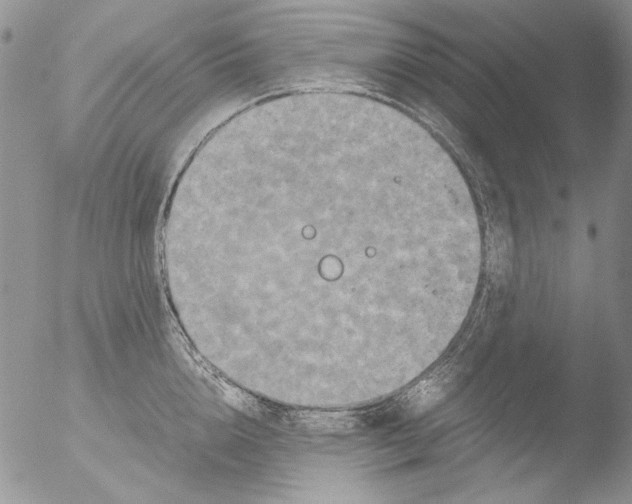 X0000051240856200507152121