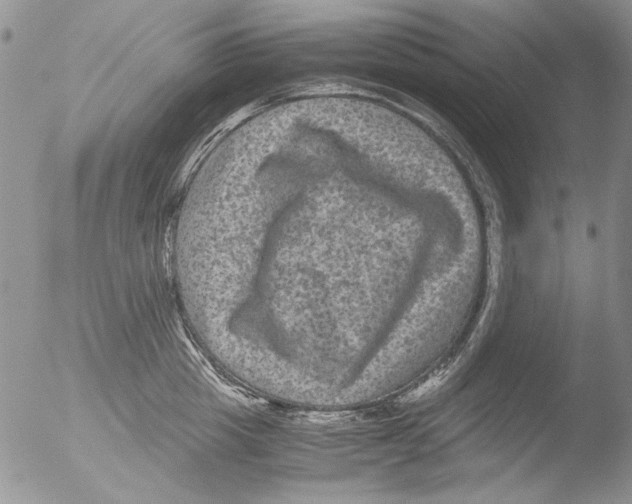 X0000051240857200507152121