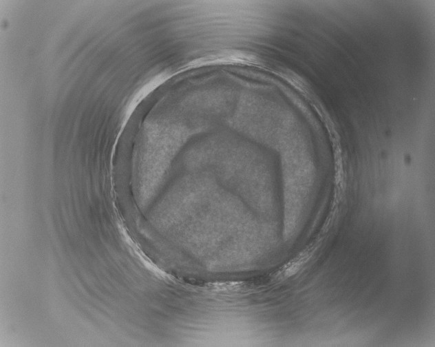 X0000051240858200507152121