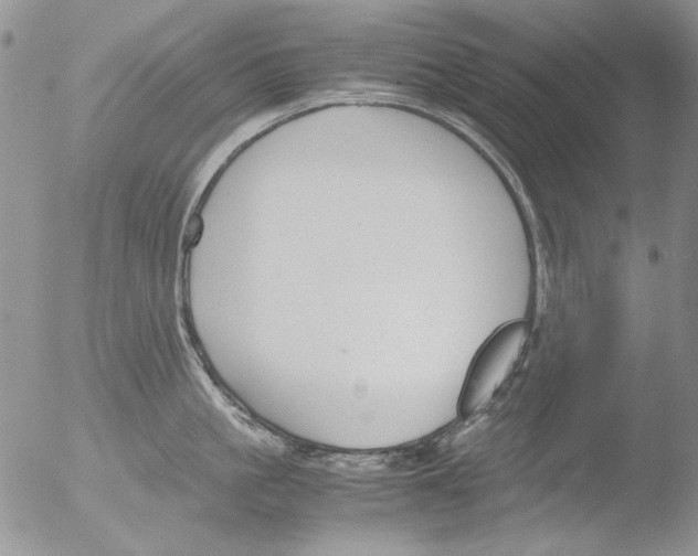 X0000051240861200507152122