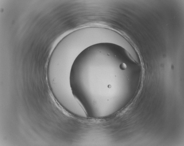 X0000051240862200507152122