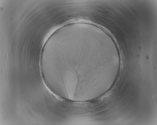 X0000051240863200507152122