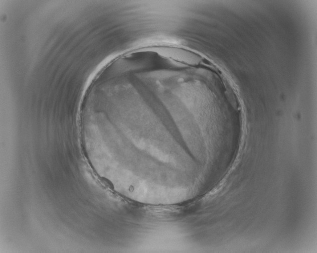 X0000051240864200507152122