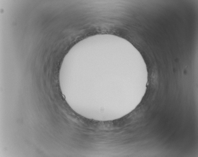 X0000051240865200507152121