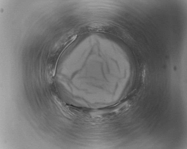 X0000051240868200507152121