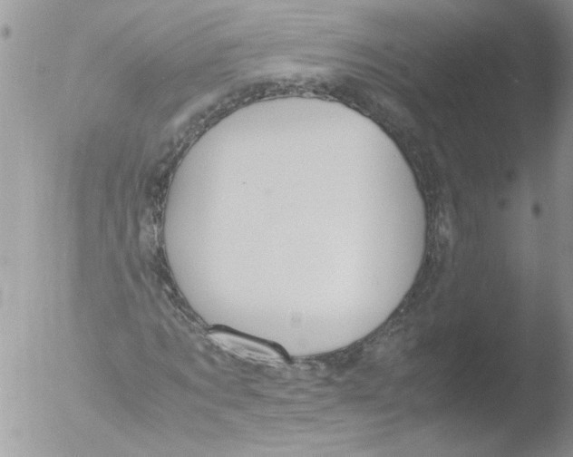 X0000051240869200507152121