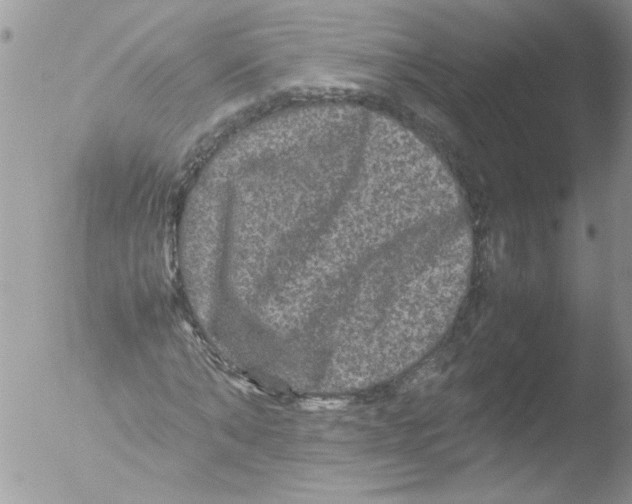 X0000051240870200507152121