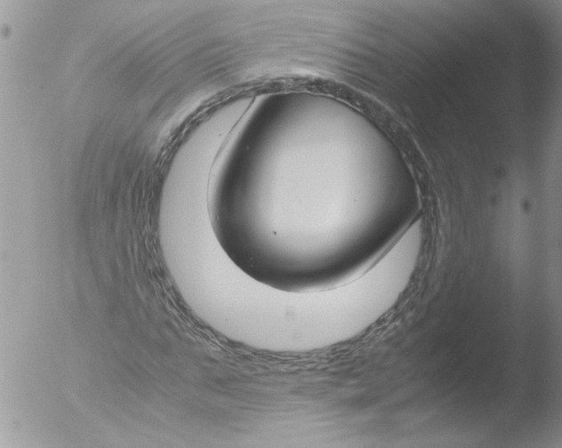 X0000051240871200507152121