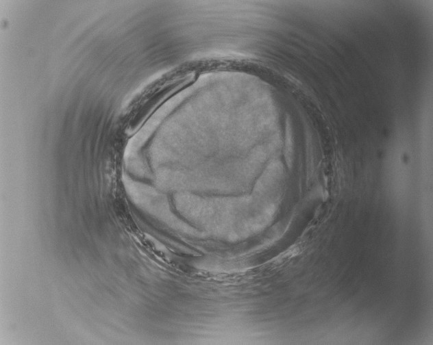 X0000051240872200507152121