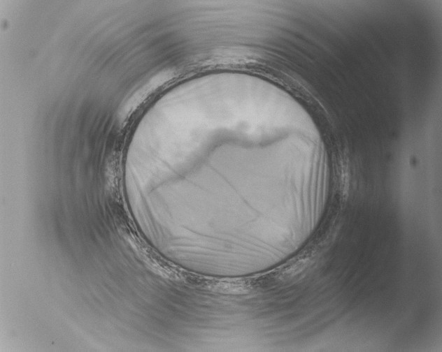 X0000051240874200507152121