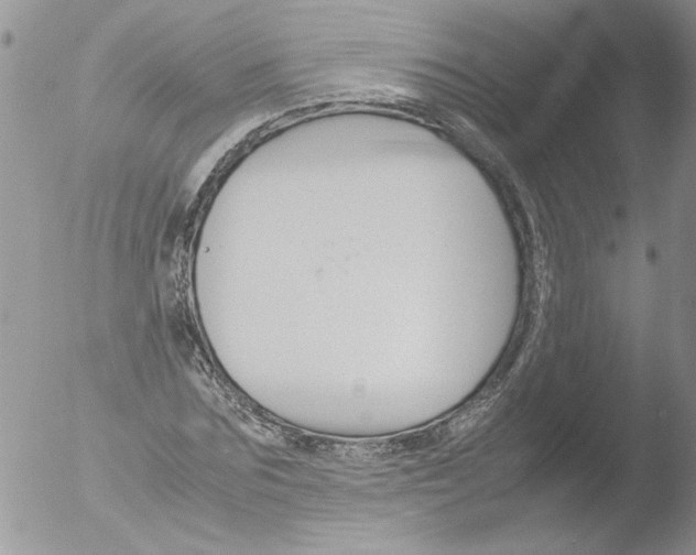 X0000051240875200507152121