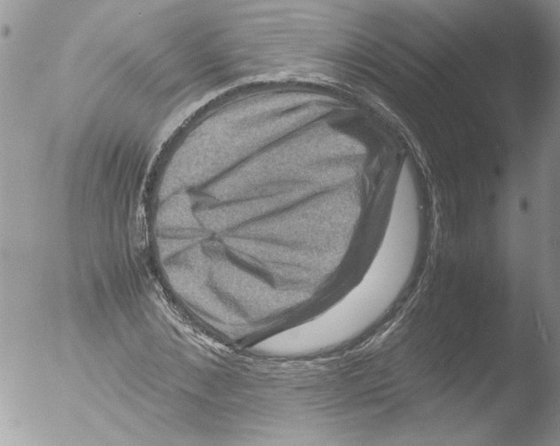 X0000051240876200507152121