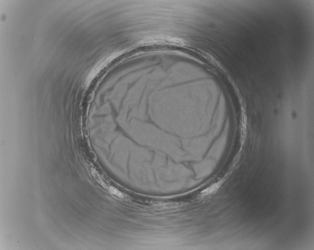 X0000051240877200507152121