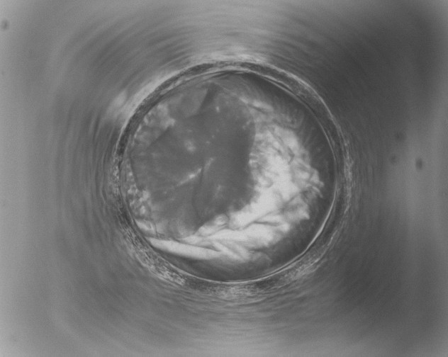 X0000051240879200507152121