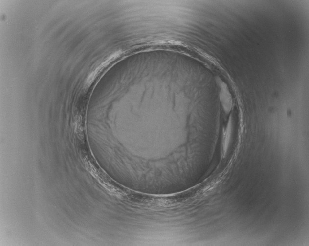 X0000051240881200507152120