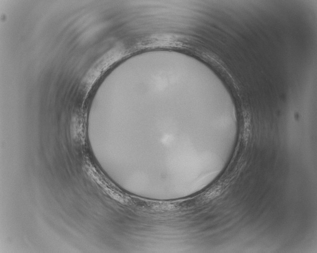 X0000051240882200507152120