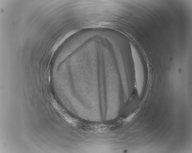 X0000051240885200507152120