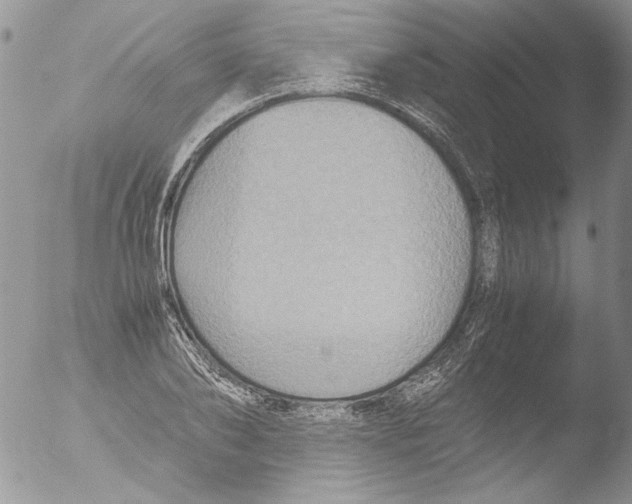 X0000051240886200507152120