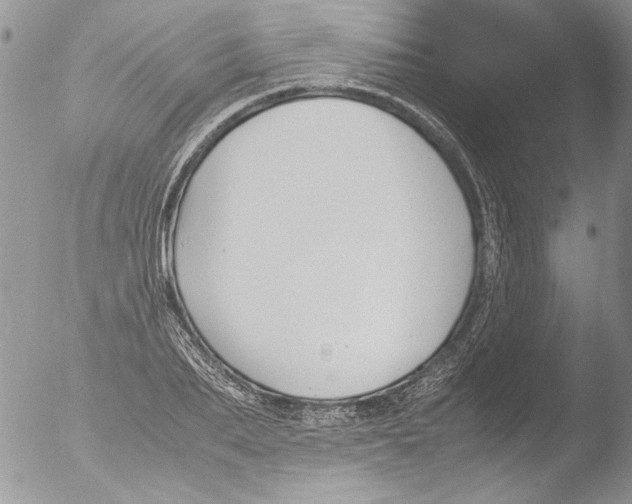 X0000051240887200507152120