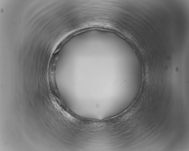 X0000051240888200507152120