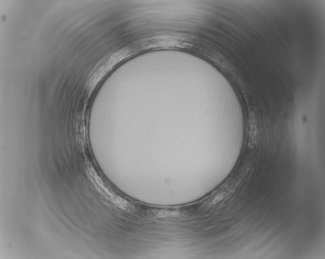 X0000051240890200507152120