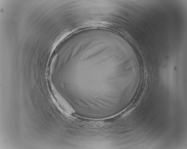 X0000051240893200507152120