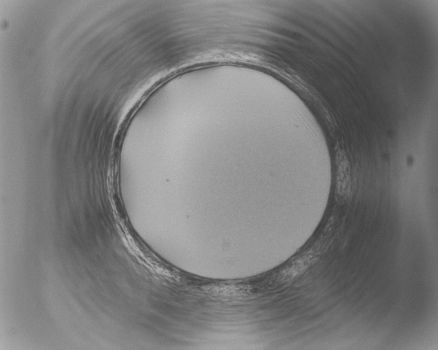 X0000051240896200507152120