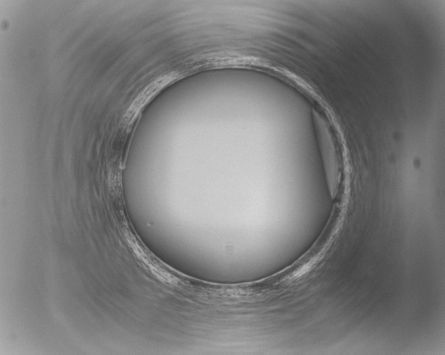 X0000051240897200507152120