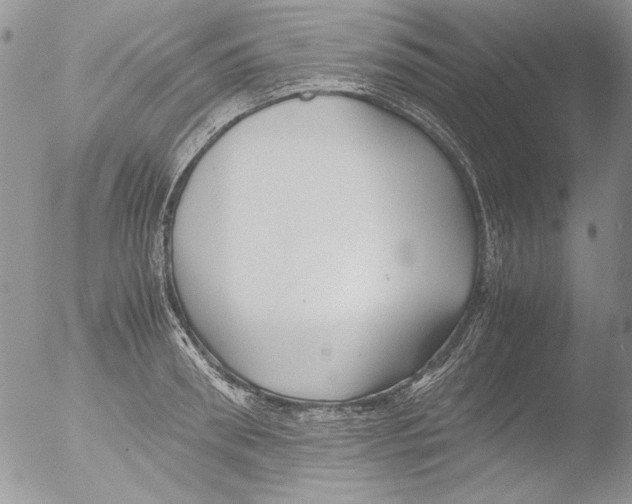 X0000051240898200507152120