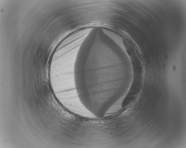 X0000051240900200507152120