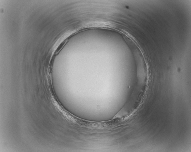 X0000051240901200507152120